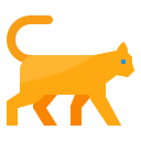 gato icon