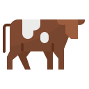 vaca