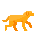 perro icon