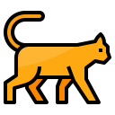 gato icon