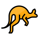 canguro icon