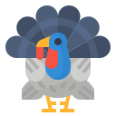 pavo icon