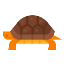 tortuga icon