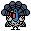 pavo icon