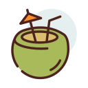 piña colada icon