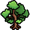 Árbol icon