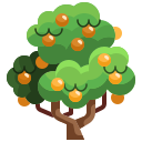 Fruit tree icon