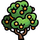 Árbol de frutas icon