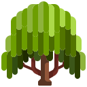 Árbol 