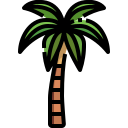 Кокосовая пальма 
