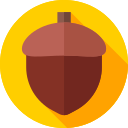 Acorn 