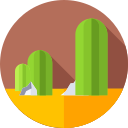 cactus icon