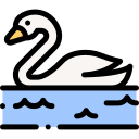 cisne icon