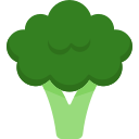 brócoli icon