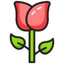 rosa icon