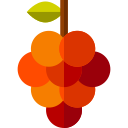 uvas icon