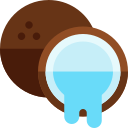 coco icon