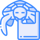 tortuga icon