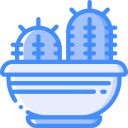 cactus icon