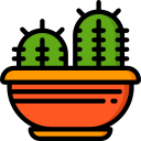 cactus icon