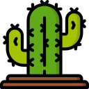 cactus icon