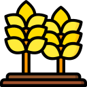 trigo icon