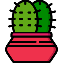 cactus icon