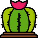 cactus icon