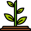 planta icon