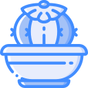 cactus icon