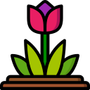 tulipán icon