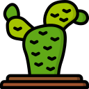 cactus icon