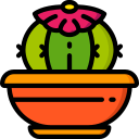 cactus icon