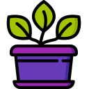 planta icon