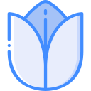 tulipán icon