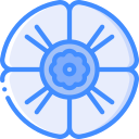 amapola icon