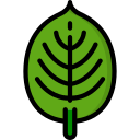 hoja icon