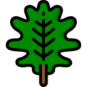 hoja de roble icon