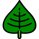 hoja icon