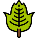 hoja icon