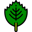 hoja icon