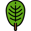 hoja icon