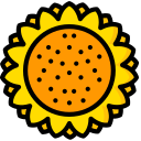 girasol icon