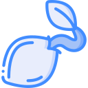 semilla icon