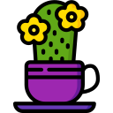 cactus icon