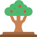 Árbol icon