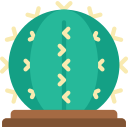 cactus icon