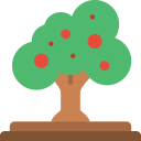 Árbol icon