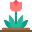 tulipán icon