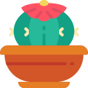 cactus icon